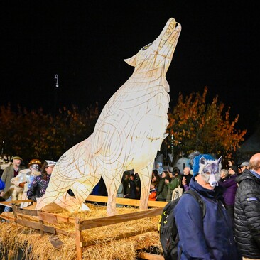 2024 Winter Droving credit Stuart Walker142